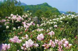 磨盤(pán)山國(guó)家森林公園