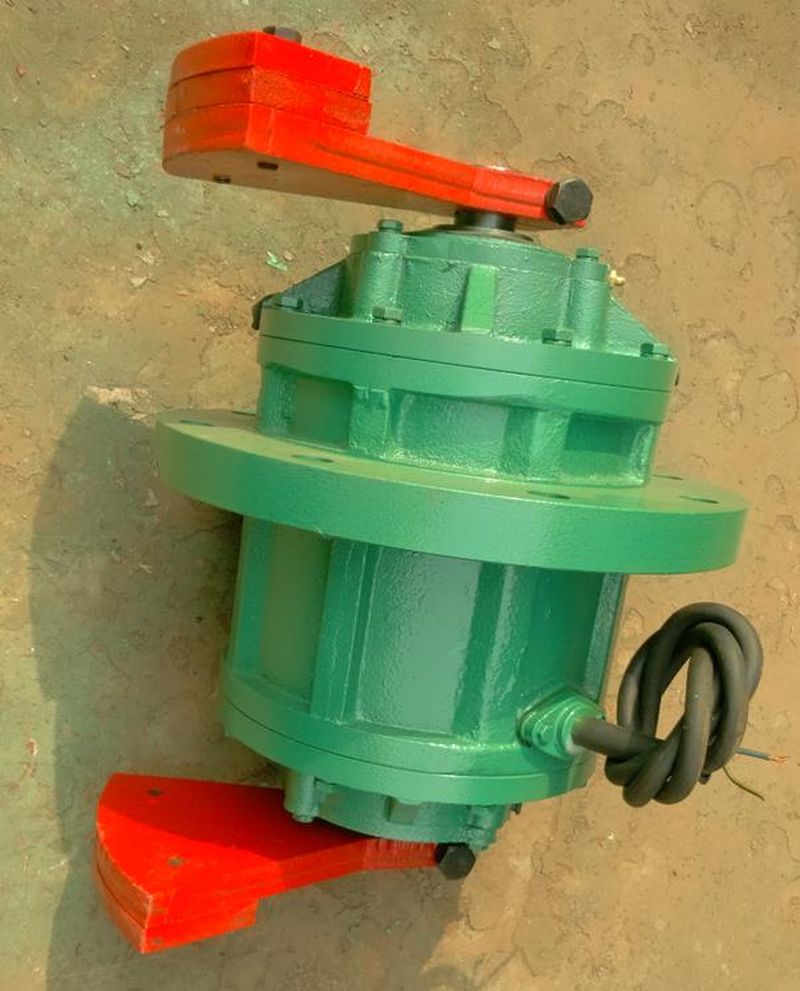 立式振動(dòng)電機(jī)1 (2)